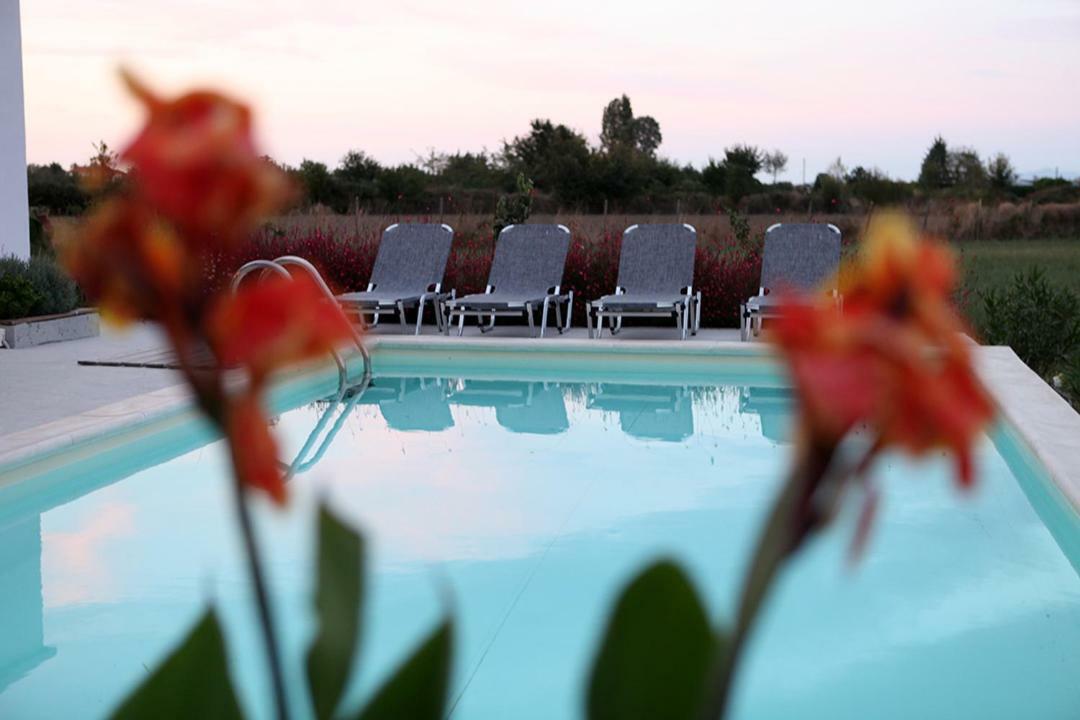 Villa Iris 2 à Paralía Extérieur photo